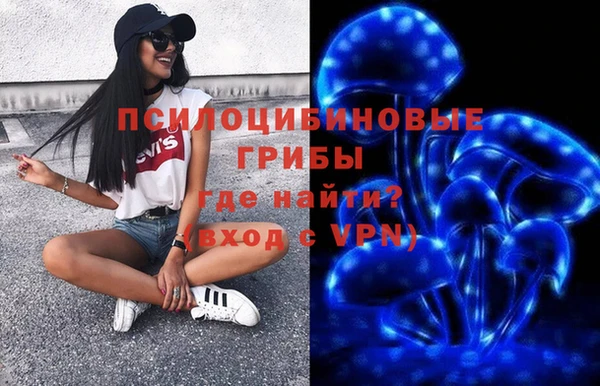 соль ск Бородино